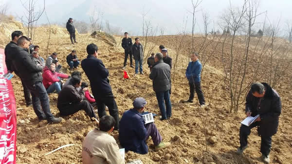 隴運集團公司積極開展幫扶村冬季花椒種植技能培訓工作